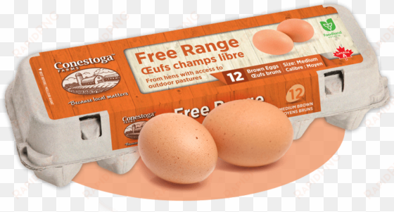 free range eggs - free range eggs png