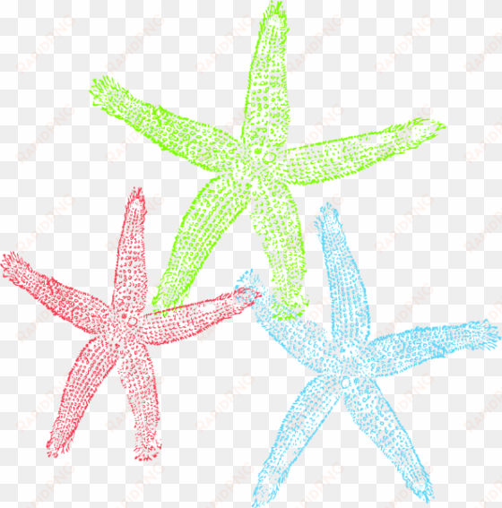 free set of three colorful starfish clip art - graffitee studios love starfish graphic art on wrapped