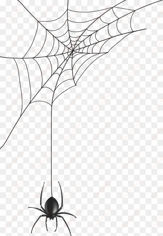 free spider png clip art image gallery yopriceville