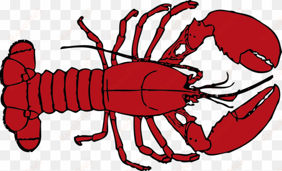free stock lobster clip art at clker com vector - lobster clipart transparent background
