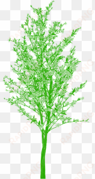 Free Tree Png Clipart Vector Cartoon, Tree Png Plan, - Tree transparent png image