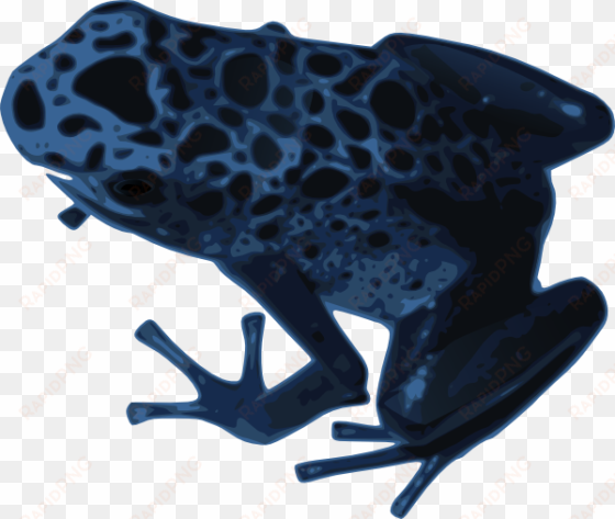 free vector azureus frog clip art - poison dart frog transparent background