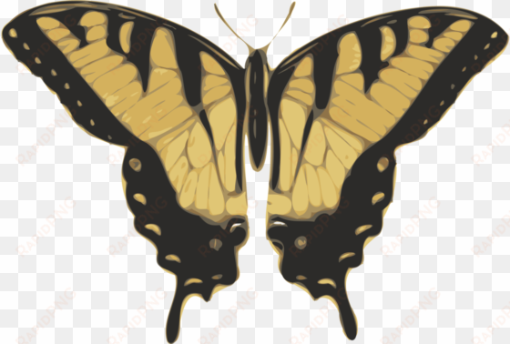free vector butterfly top view clip art - tiger swallowtail butterfly png