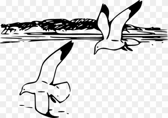 free vector flying sea gulls clip art - shore clip art black and white