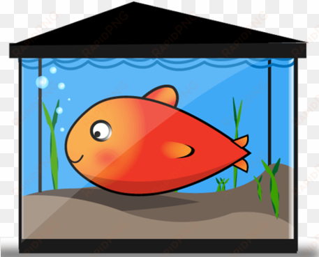 free vector gold fish tank - fish in tank clipart