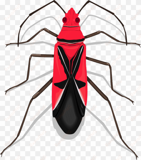 free vector insect - assorted bugs