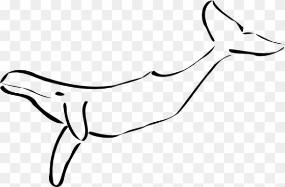 free vector whale clip art - outline of a whale