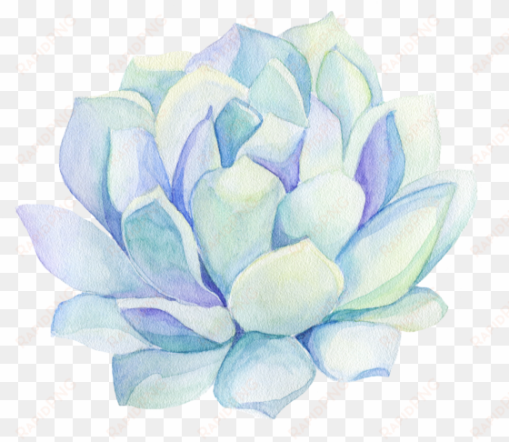 freetoedit ftestickers watercolor cactus flower decorat - succulent plant