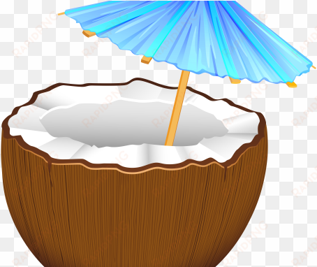 freeuse library - transparent background coconut emoji png
