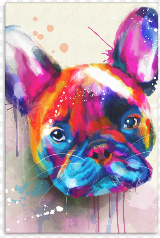 french bulldog canvas wrap 2402th - french bulldog