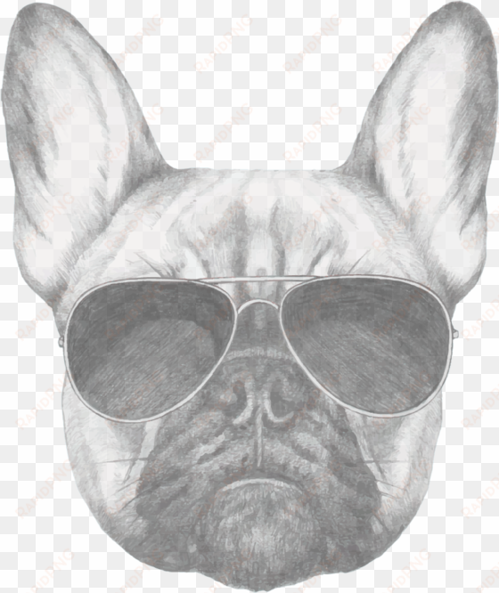 french bulldog secrets - french bulldog drawing