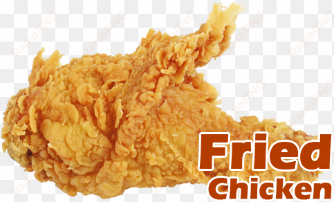 fried chicken 1 - fried chicken