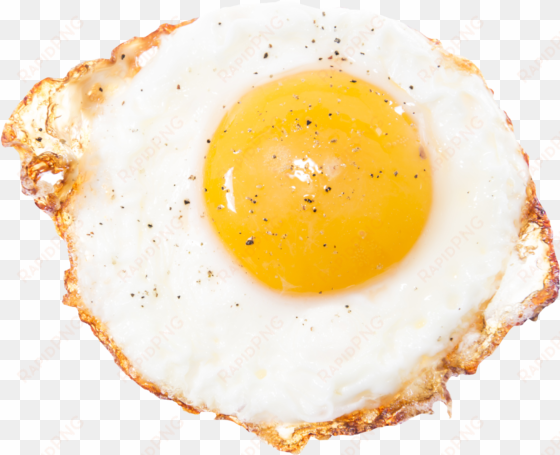 fried egg png image - fry eggs transparent background