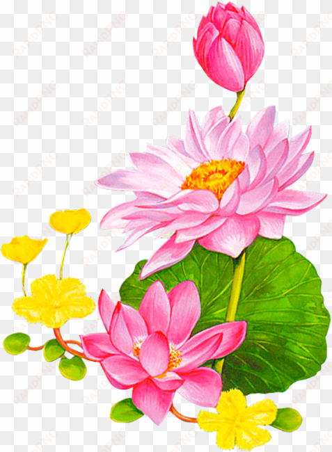 friendship flowers, vintage diy, lotus - png background lotus vector free