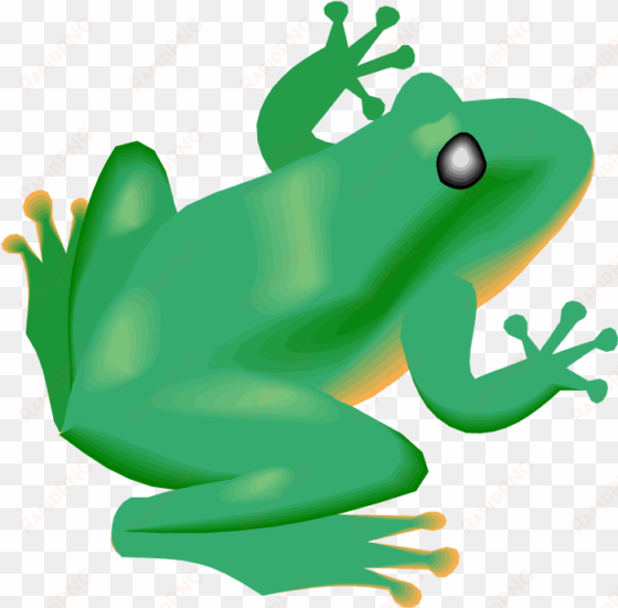 frog clipart diving - rain forest animals png