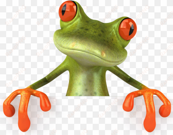 frog png