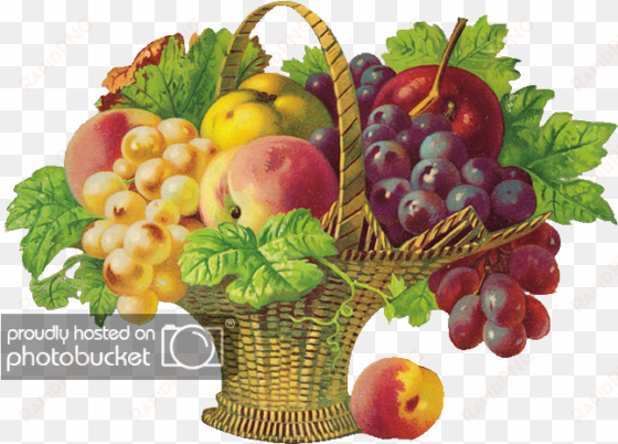 fruit-basket - get well soon fruits