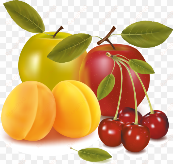 fruit cherry apple pear