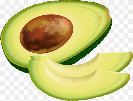 fruit clip art graphics - avocado clip art free