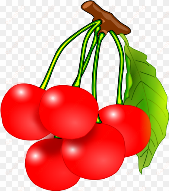 Fruit Clip Art - Red Cherries Clipart transparent png image