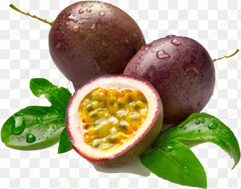 fruit de la passion - scientific name of passion fruit