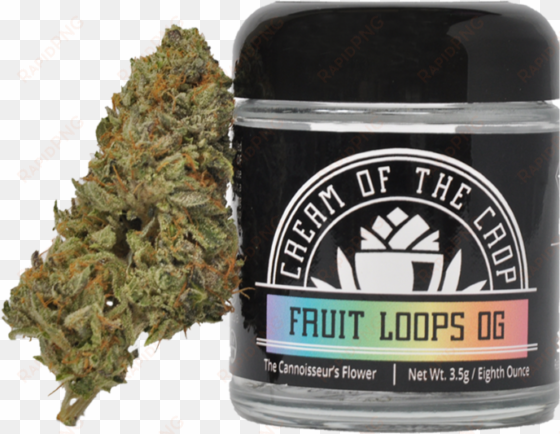 fruit loops og by cotc - cream of the crop fruit loops