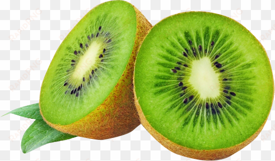 fruit png image - transparent kiwi png