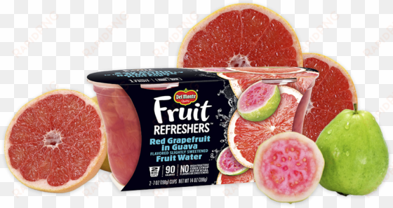 fruit refreshers® red grapefruit in guava flavored - del monte fruit refreshers pineapple in passion fruit