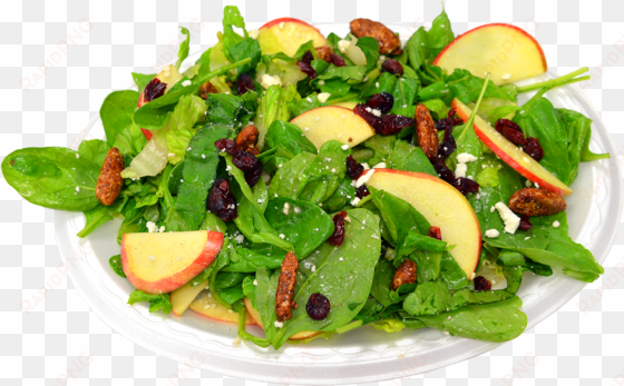 fruit salad with ice cream png download - salad