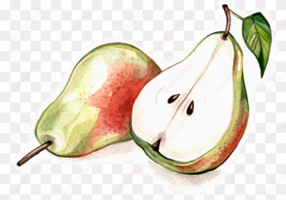 fruit & veg - asian pear