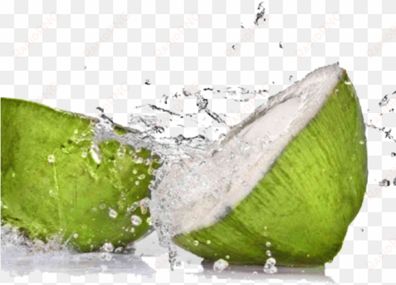 fruit water splash png transparent images - waiola coconut water, 100% - 33.7 fl oz