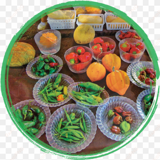 fruits and veggies in baskets surrounded by a green - fruit