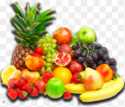 fruverfresh distribucion y verduras - fresh fruits