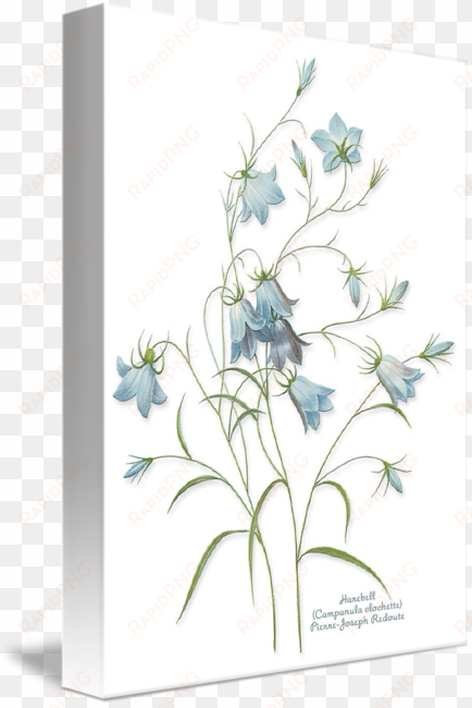 ftestickers flowers watercolor blue - cafepress harebells tile coaster