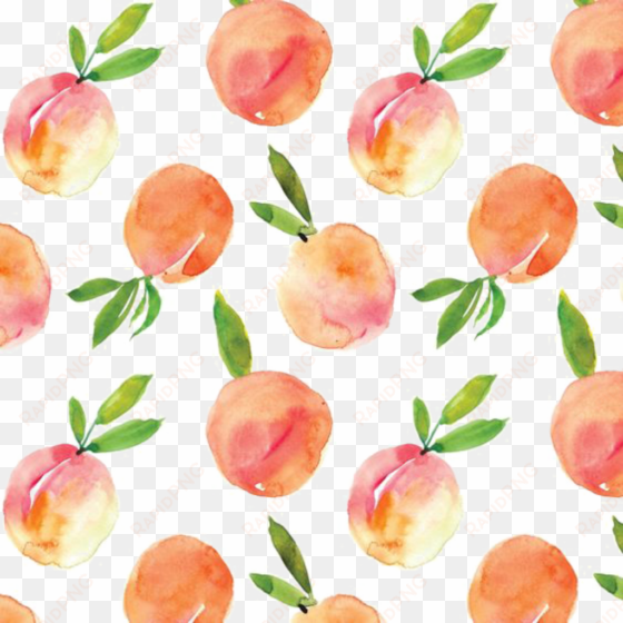ftestickers watercolor peaches background overlay - watercolour peaches