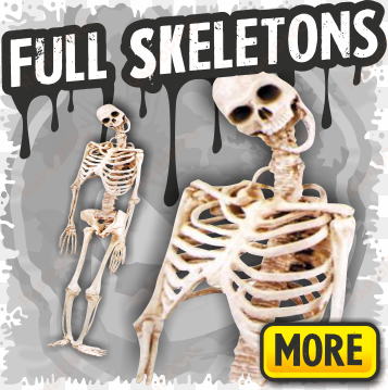 full skeleton halloween props - skeleton props life size
