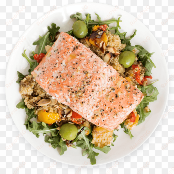 fully cooked meal with healthy salmon - salmon