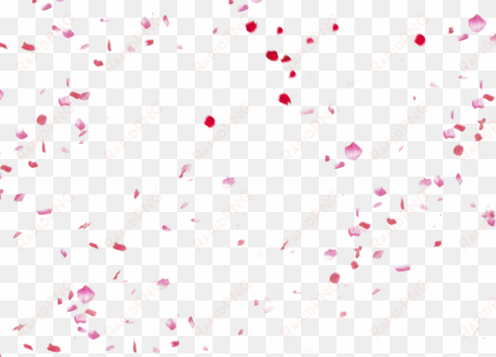 fundal adobe peach petals festival flowers fall - falling pink png petals