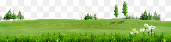 Fundal Information - Green Grass Background Png transparent png image