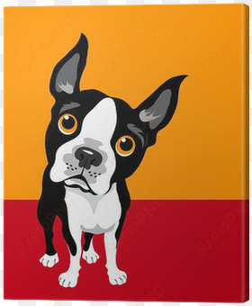 funny illustration of boston terrier canvas print • - boston terrier sleep vector