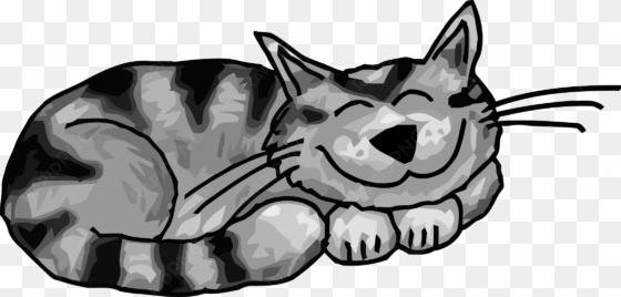 funny sleeping cat clipart png - people disrespect your house