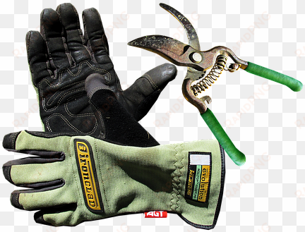 garden, gloves, tool, work - tool