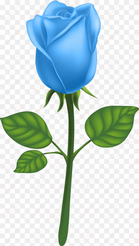 garden roses adobe illustrator clip art blue - clip art