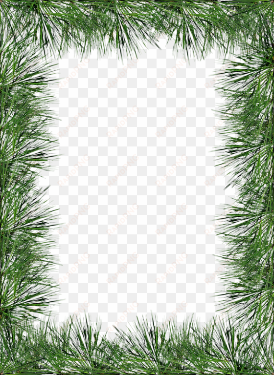 garland clipart pine cone - christmas pine frame png