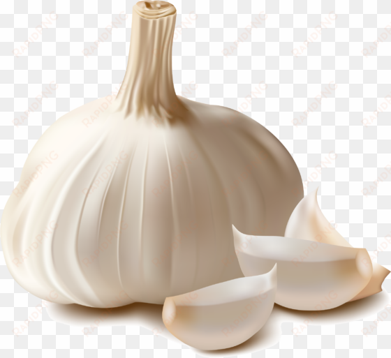 garlic png