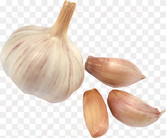 garlic png - garlic cloves png