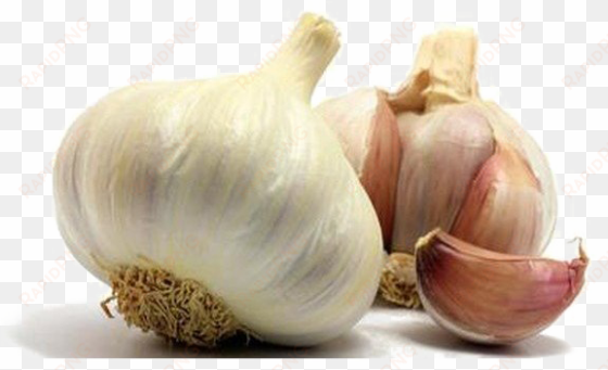 garlic png photo - garlic images hd png