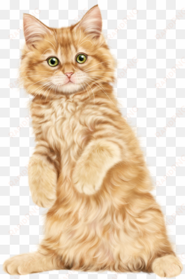 gato katze katter kettir cait clip - kittens clipart