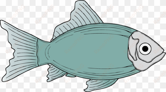 generic fish clip art - fish clipart
