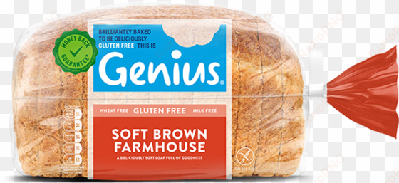 genius gluten-free bread on white background - genius gluten free white sliced bread